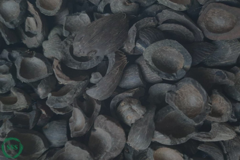 Palm Kernel Shell